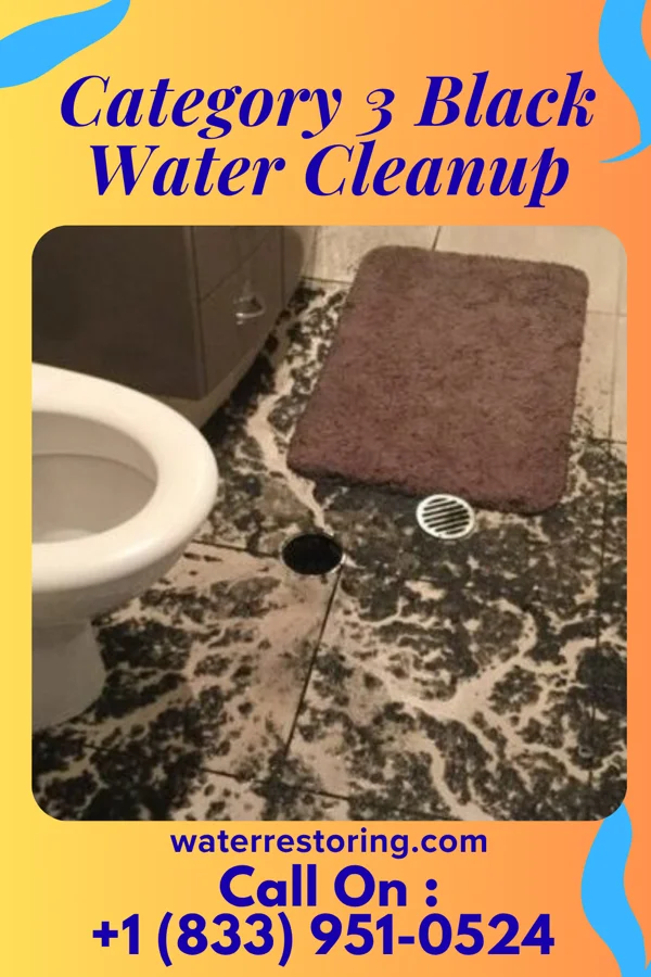 Category 3 Black Water Cleanup in Berlin, MD